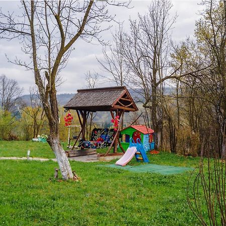 Pensiunea Nituca Moisei Buitenkant foto