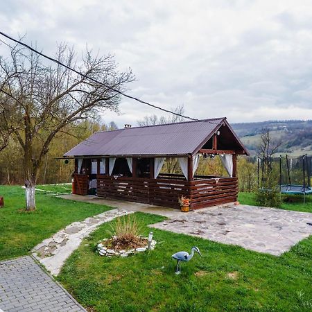 Pensiunea Nituca Moisei Buitenkant foto