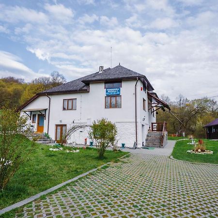 Pensiunea Nituca Moisei Buitenkant foto