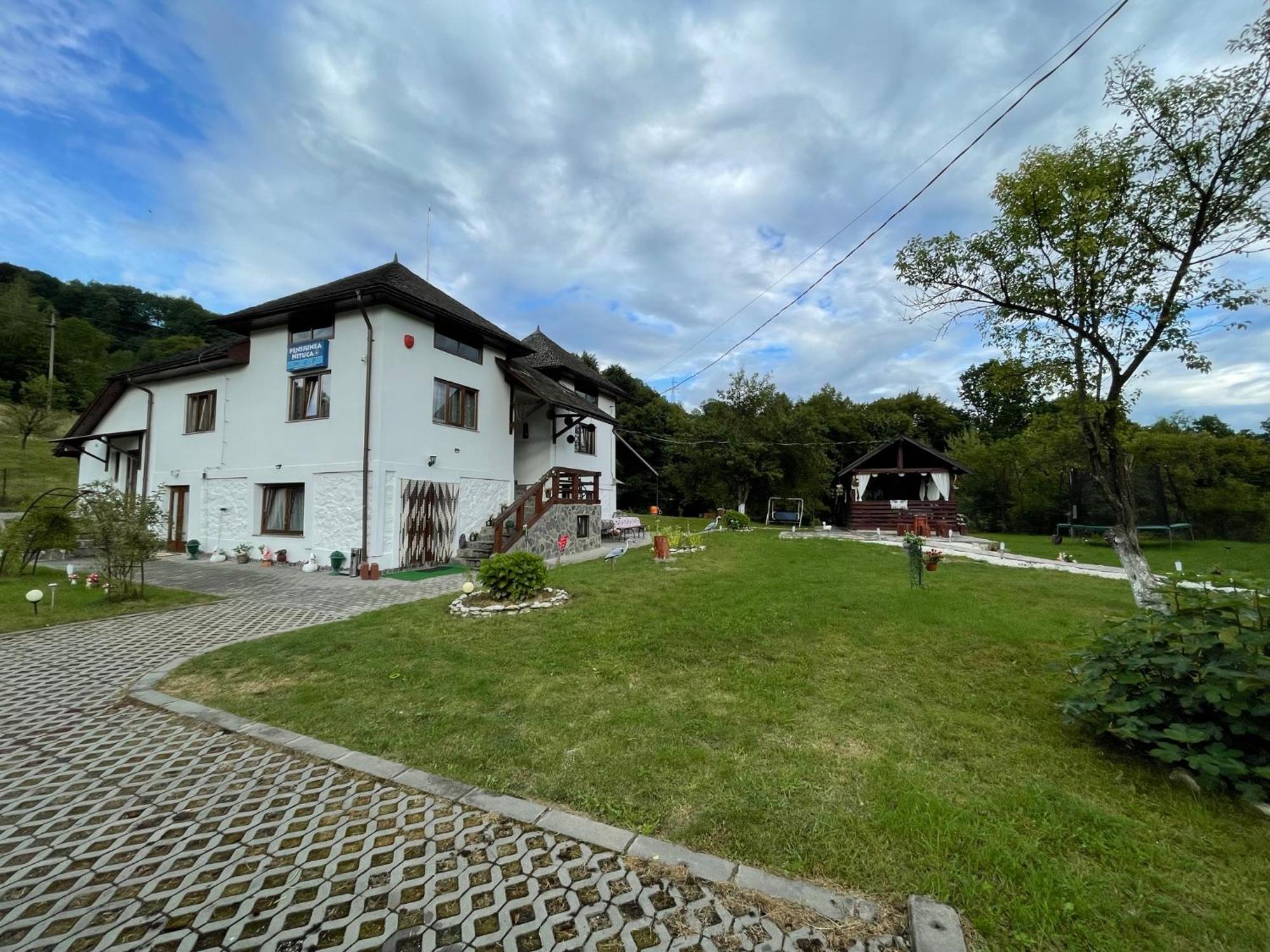 Pensiunea Nituca Moisei Buitenkant foto