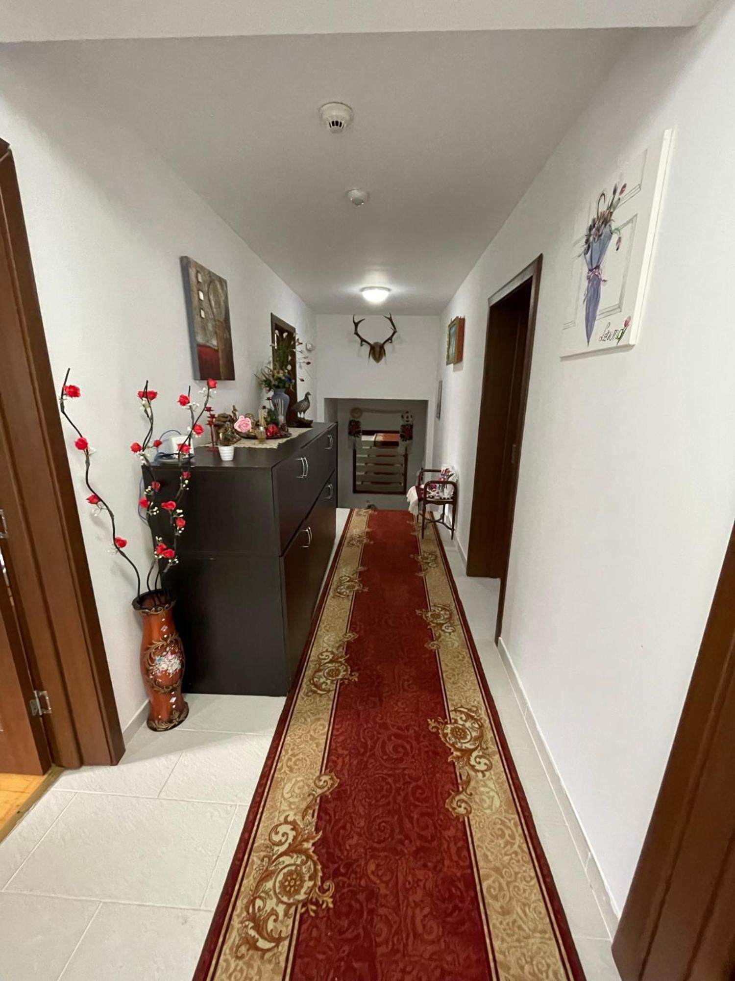 Pensiunea Nituca Moisei Buitenkant foto