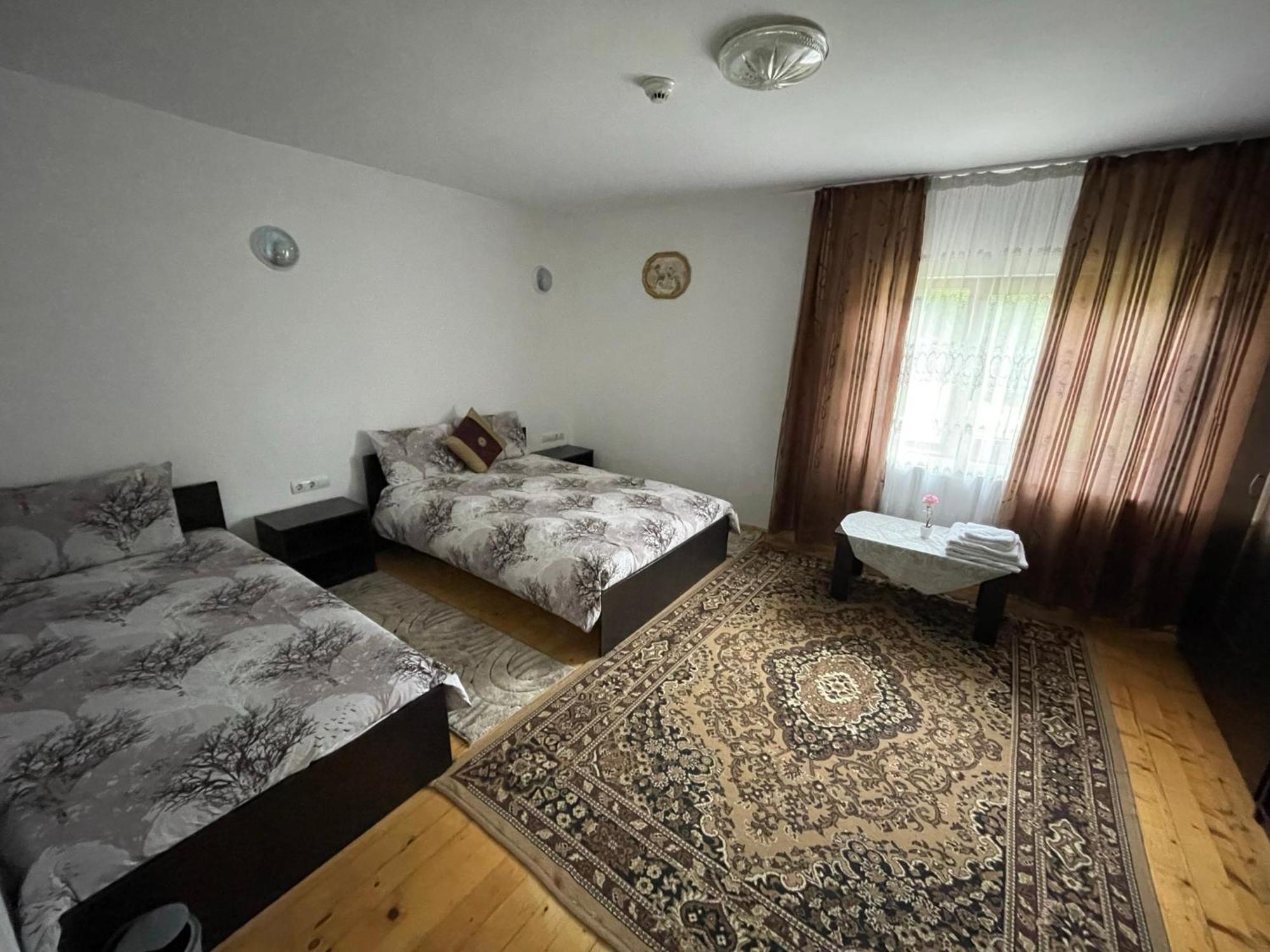 Pensiunea Nituca Moisei Buitenkant foto