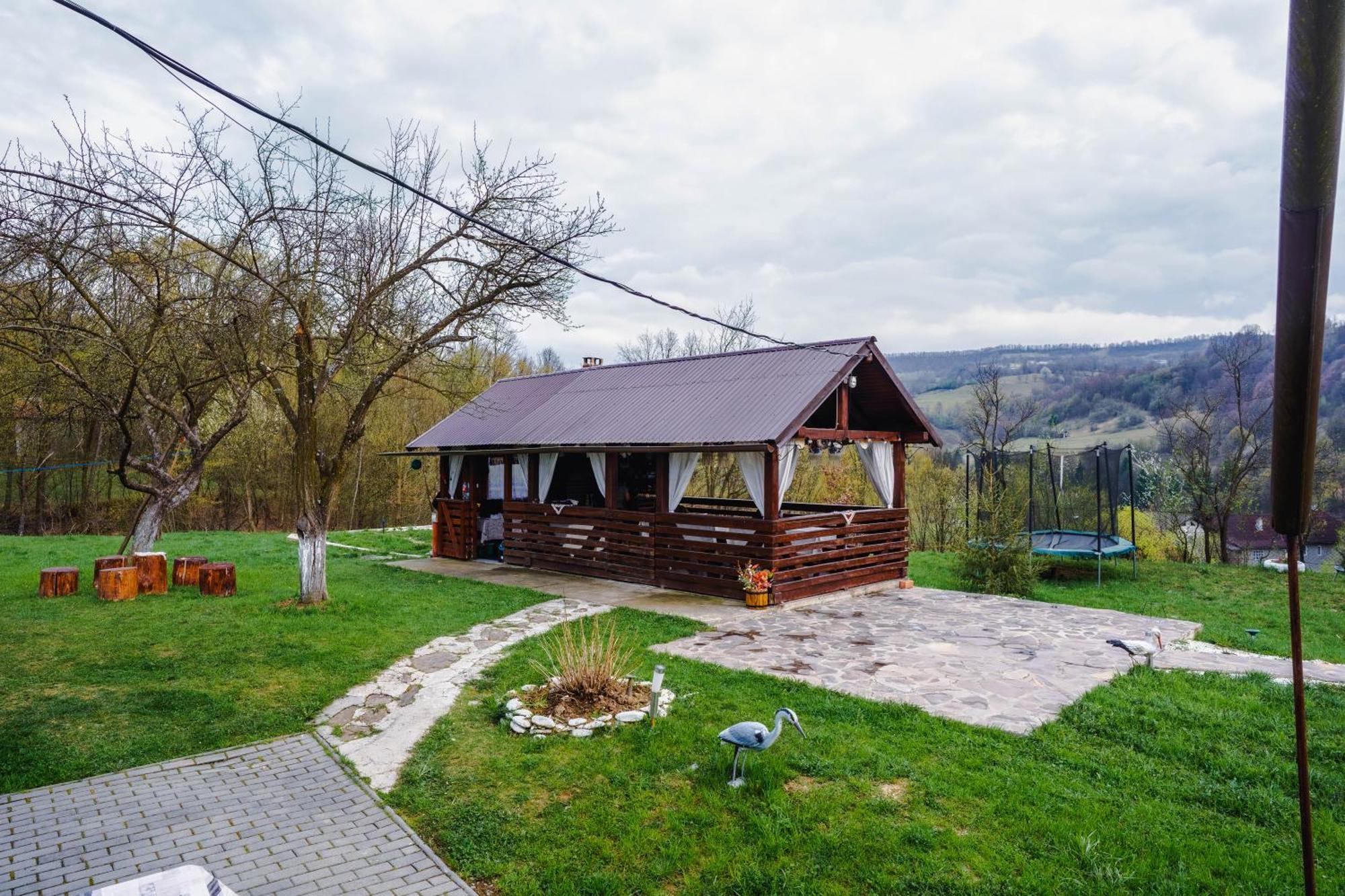 Pensiunea Nituca Moisei Buitenkant foto