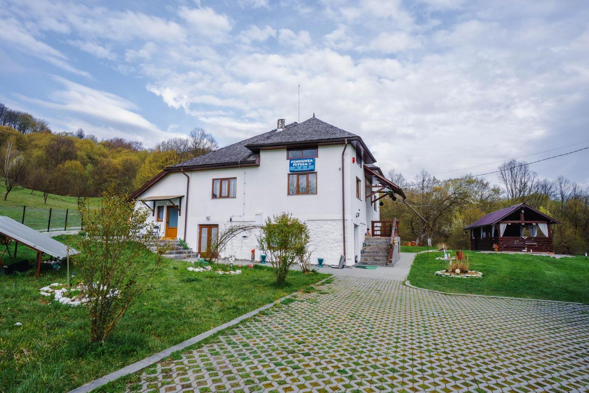 Pensiunea Nituca Moisei Buitenkant foto