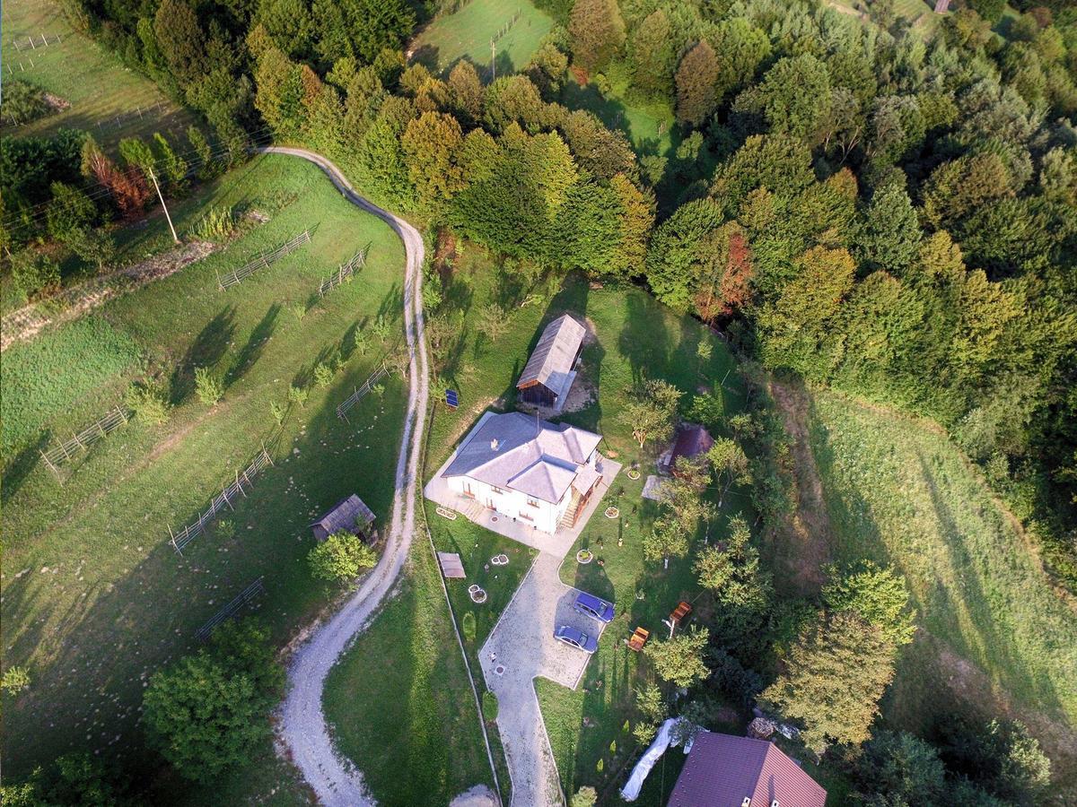 Pensiunea Nituca Moisei Buitenkant foto