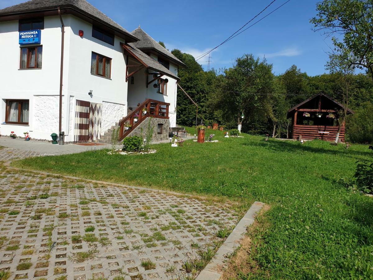 Pensiunea Nituca Moisei Buitenkant foto